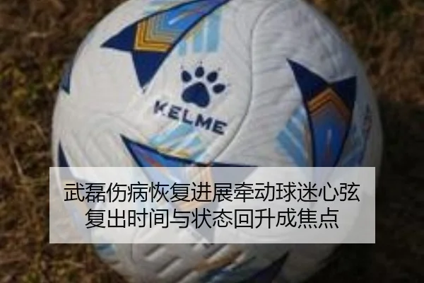 武磊伤病恢复进展牵动球迷心弦 复出时间与状态回升成焦点